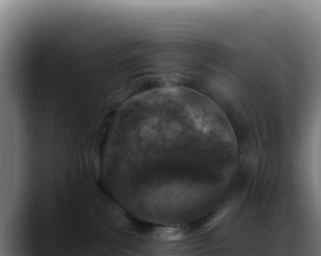 X0000088390139200705291416