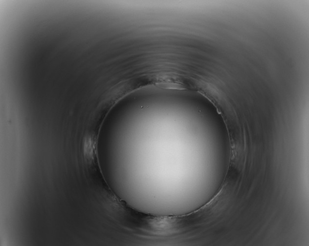 X0000088390142200705291416