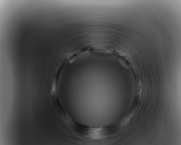 X0000088390143200705291416