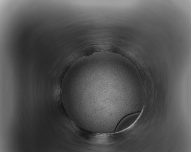 X0000088390144200705291416