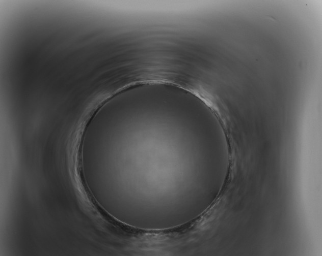 X0000088390145200705291415