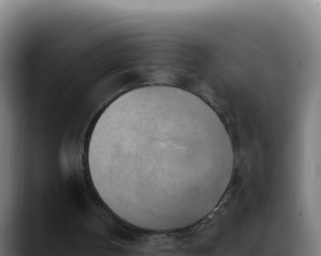 X0000088390146200705291415