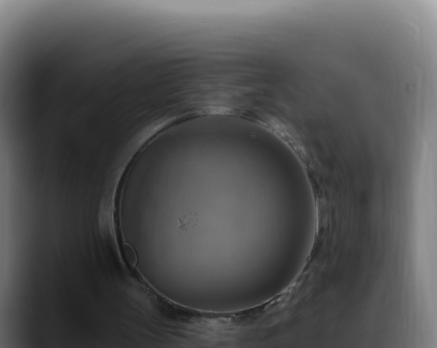 X0000088390147200705291415