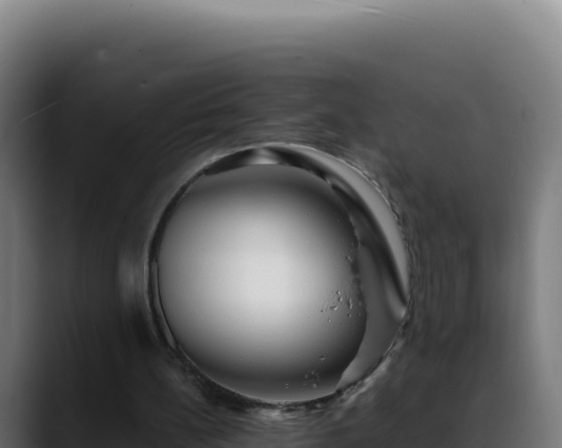 X0000088390148200705291415