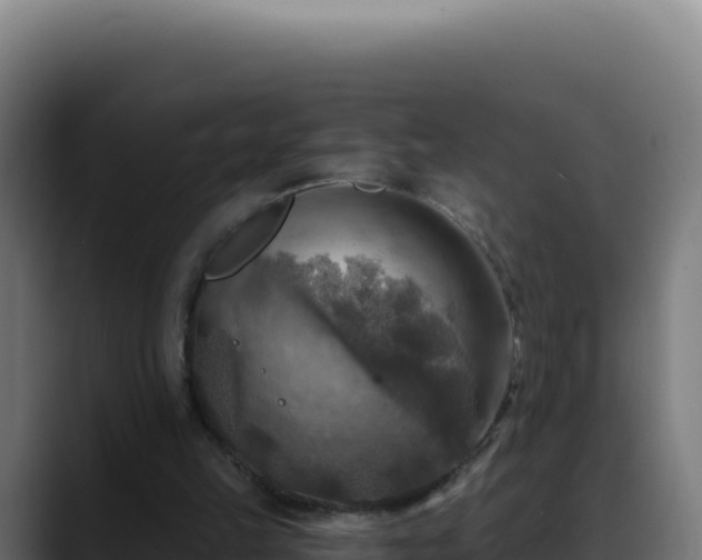 X0000088390149200705291415