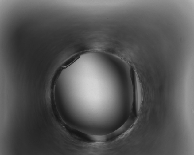 X0000088390150200705291415