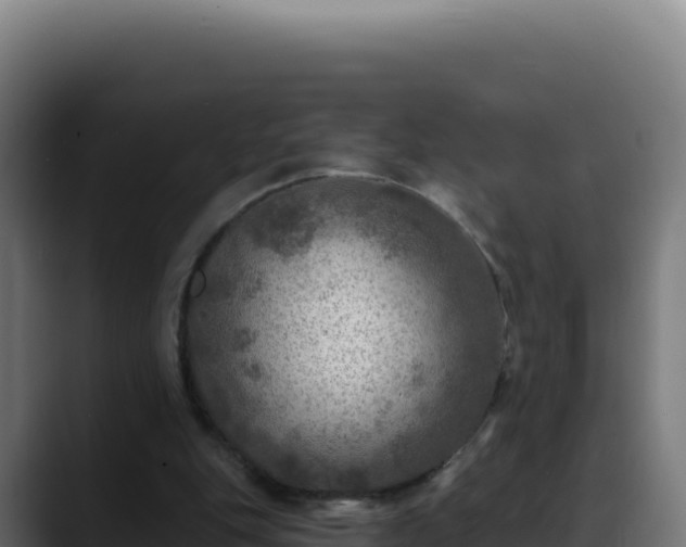 X0000088390151200705291415