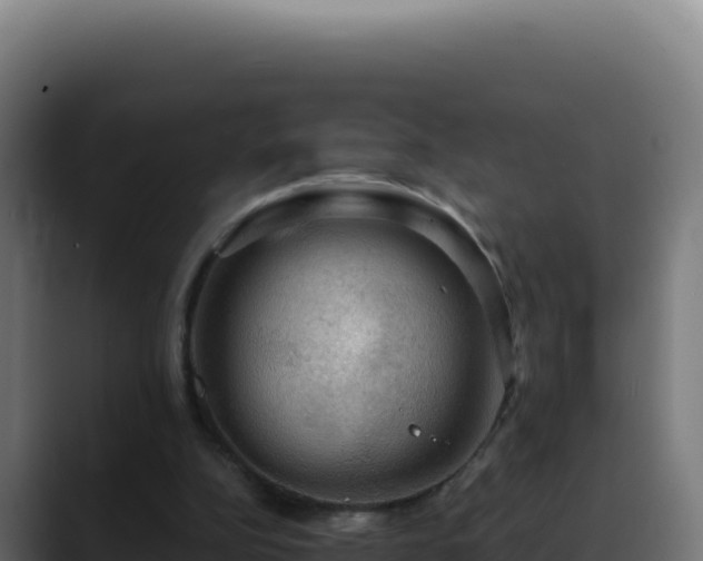 X0000088390152200705291415