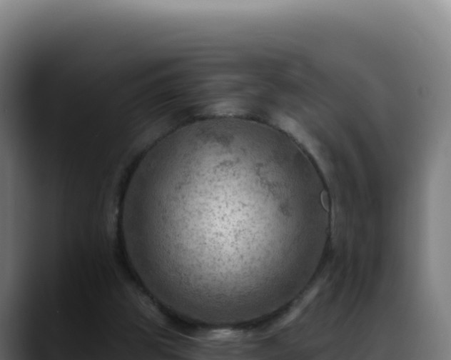 X0000088390153200705291415