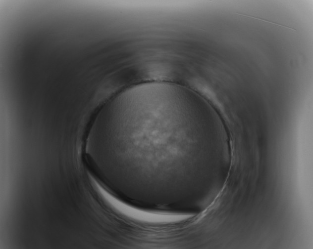 X0000088390154200705291415