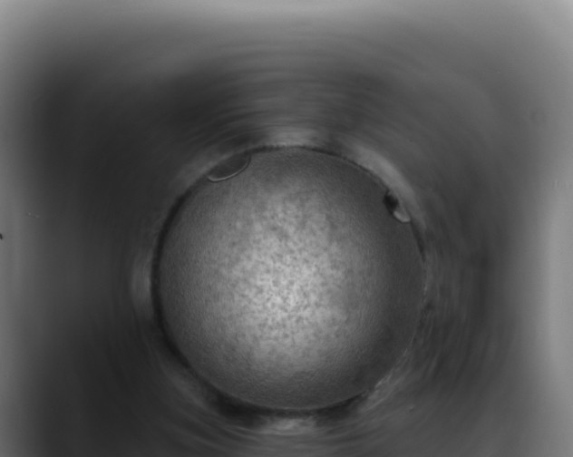 X0000088390155200705291415