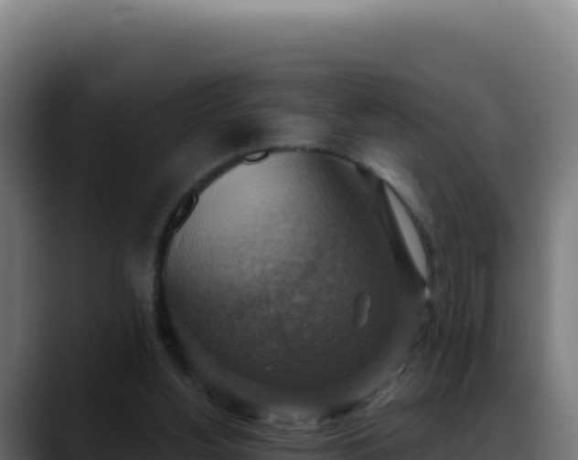 X0000088390156200705291415