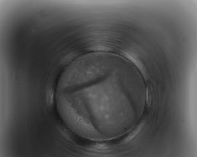 X0000088390157200705291415