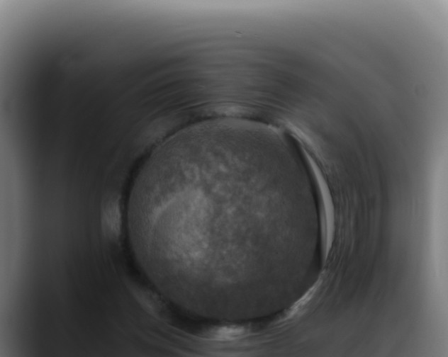 X0000088390158200705291415