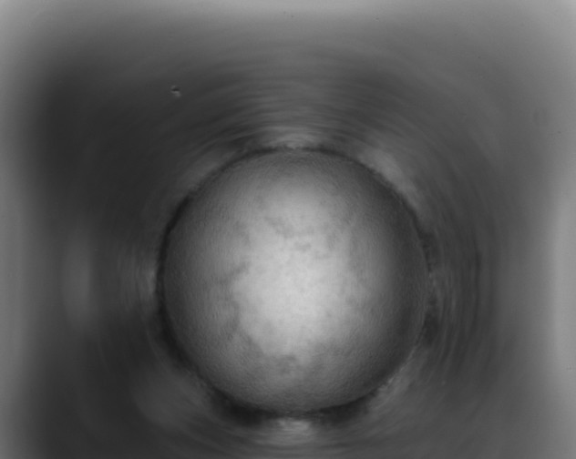 X0000088390159200705291415