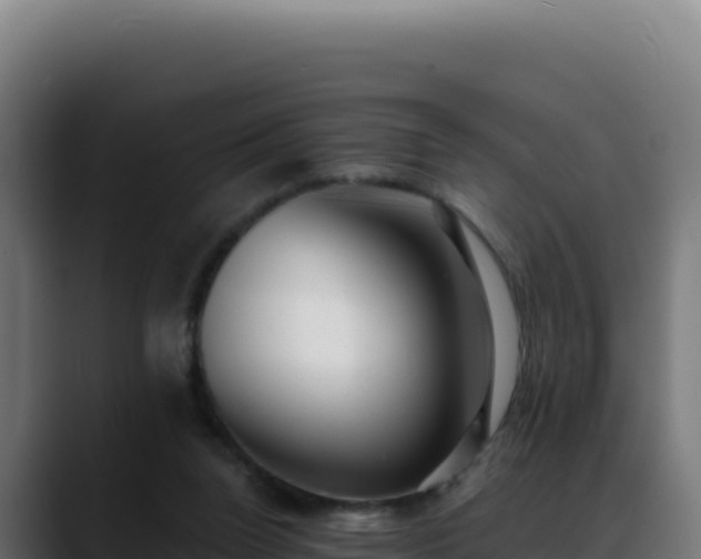 X0000088390160200705291415