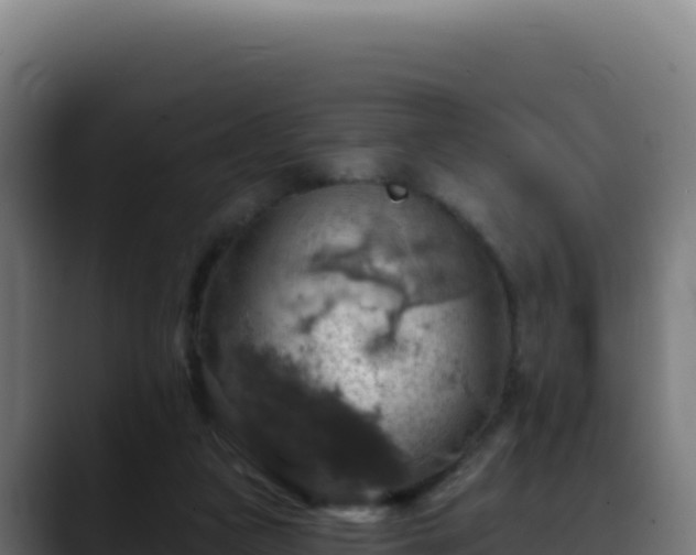 X0000088390161200705291415