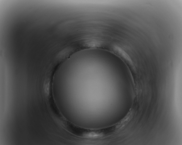 X0000088390163200705291415