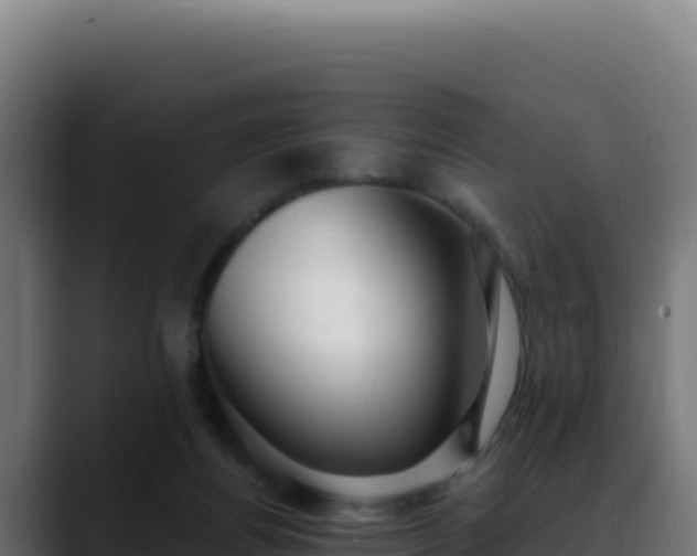 X0000088390164200705291415