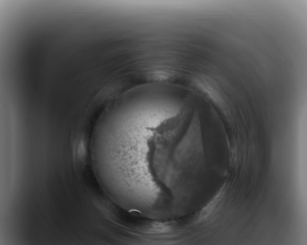 X0000088390166200705291416