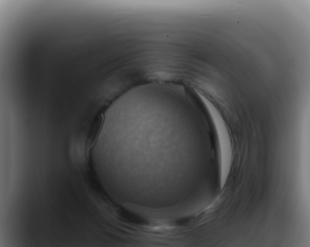 X0000088390168200705291416