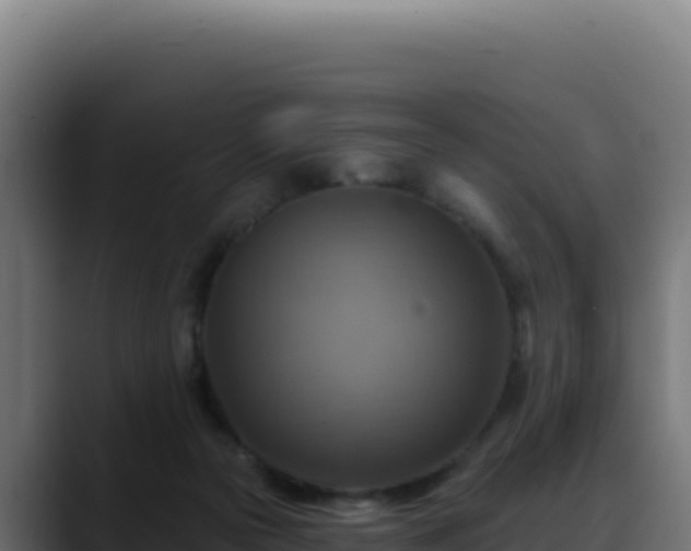 X0000088390169200705291416