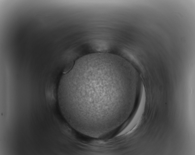 X0000088390170200705291416