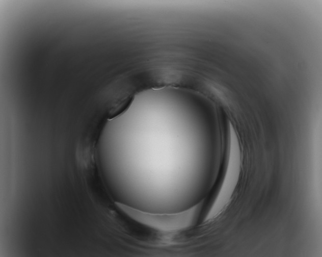 X0000088390172200705291416