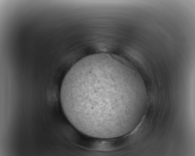 X0000088390174200705291416