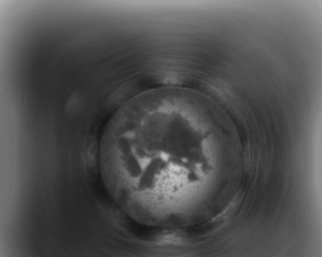 X0000088390175200705291416