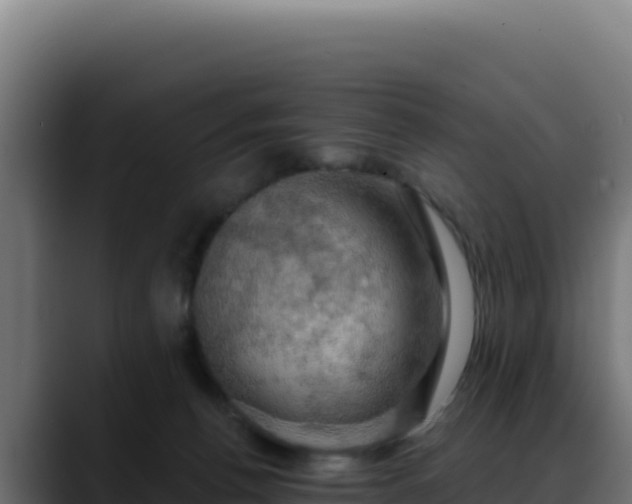 X0000088390176200705291416