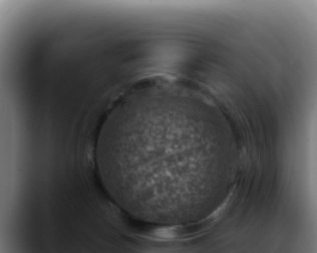 X0000088390178200705291416