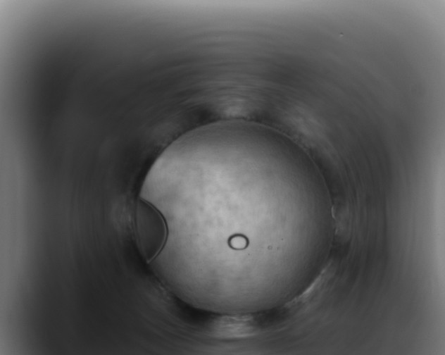 X0000088390179200705291416