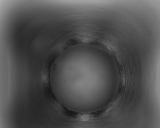 X0000088390181200705291416