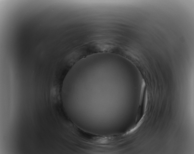 X0000088390182200705291416