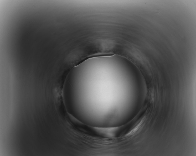 X0000088390184200705291416