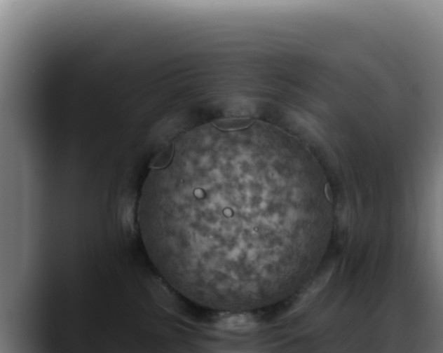 X0000088390185200705291416