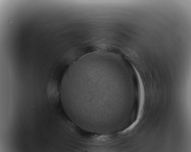 X0000088390186200705291416