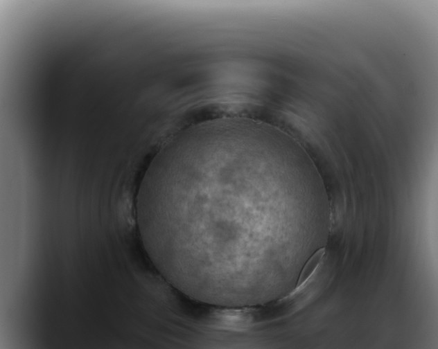 X0000088390187200705291416