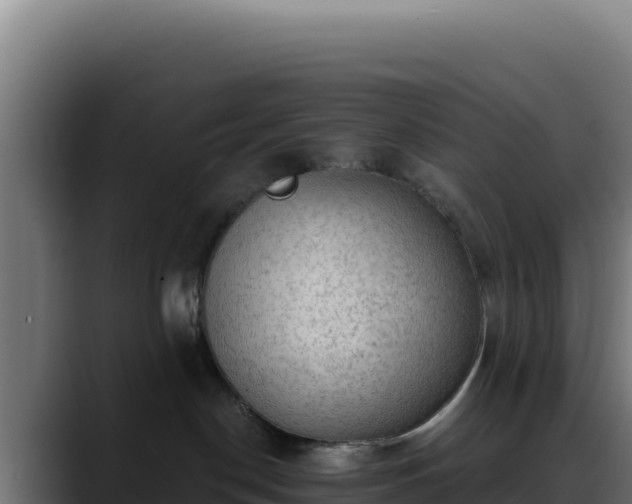 X0000088390190200705291416