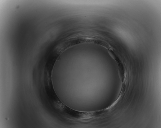 X0000088390191200705291416