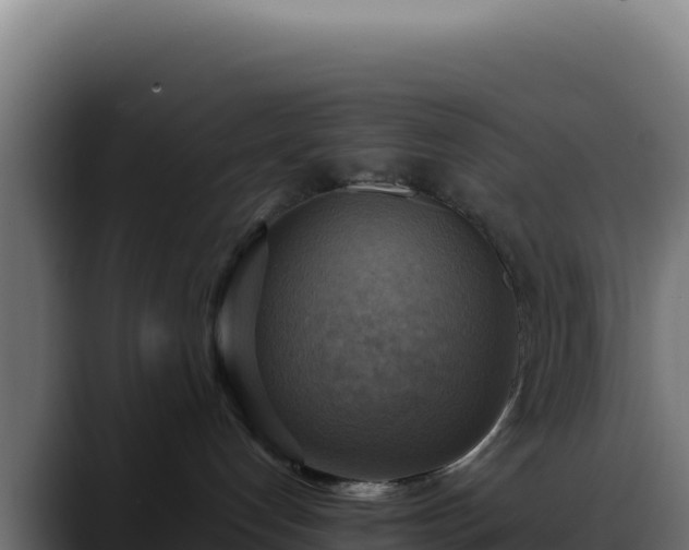 X0000088390192200705291416