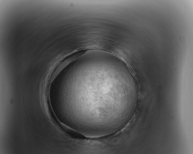 X0000088390193200705291415