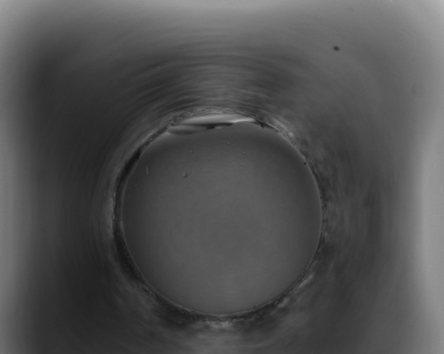 X0000088390194200705291415