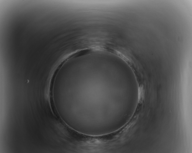 X0000088390195200705291415