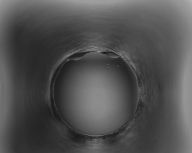 X0000088390196200705291415