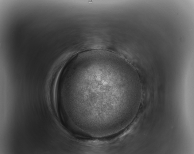 X0000088390197200705291415