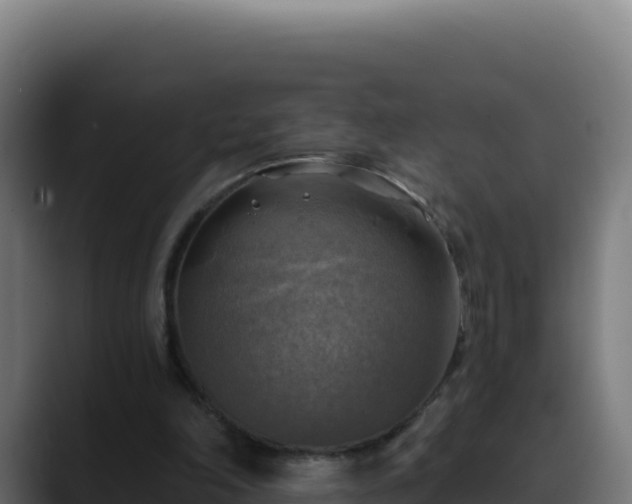 X0000088390198200705291415