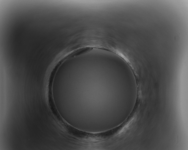 X0000088390199200705291415