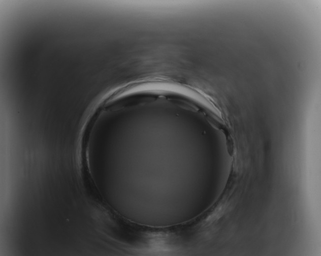 X0000088390200200705291415